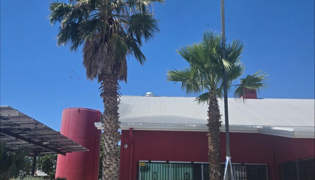 Avenal Landscaping 3